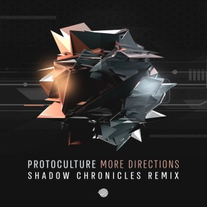 More Directions (Shadow Chronicles Remix)