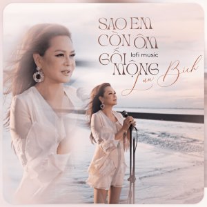 Album Sao Em Còn Ôm Gối Mộng from Lưu Bích