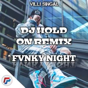 Listen to HOLD ON FVNKY NIGHT VILSINGAL REMIX song with lyrics from Villi Singal