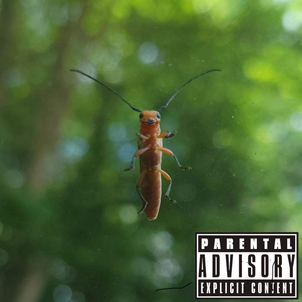 Flowers From My Therapist (feat. Tony Newbury) (Explicit)