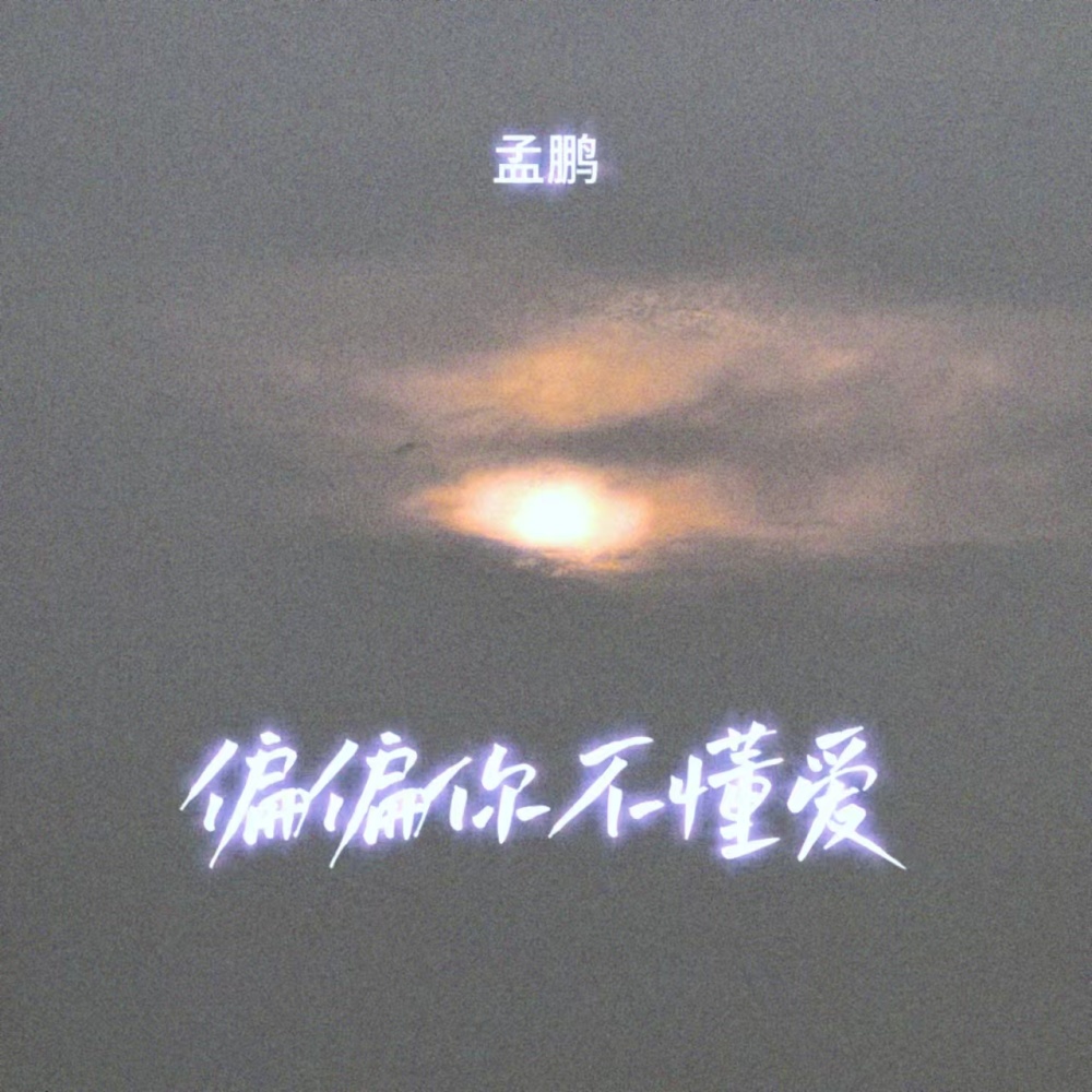 偏偏你不懂爱 (伴奏)