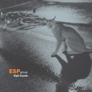 ดาวน์โหลดและฟังเพลง Night Sounds พร้อมเนื้อเพลงจาก ESP Group