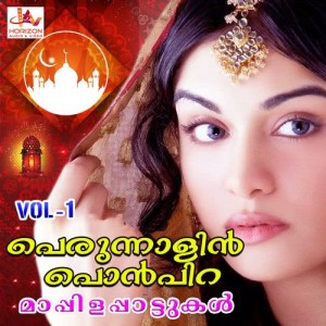 ดาวน์โหลดและฟังเพลง Sakineemaranna (其他) พร้อมเนื้อเพลงจาก Kannur Shereef