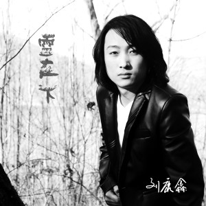 Album 雪在下 from 刘康鑫