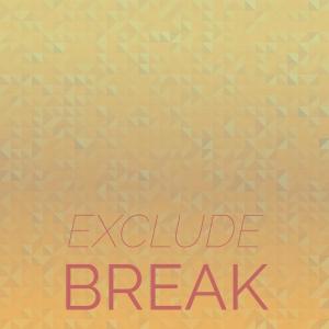 Album Exclude Break from Various Artists