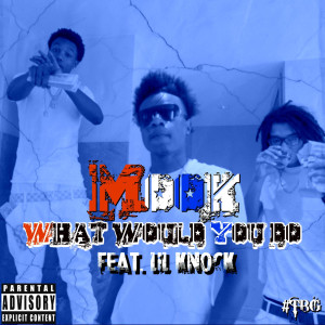 收听Mook TBG的What Would You Do (feat. Lil Knock) (Explicit)歌词歌曲