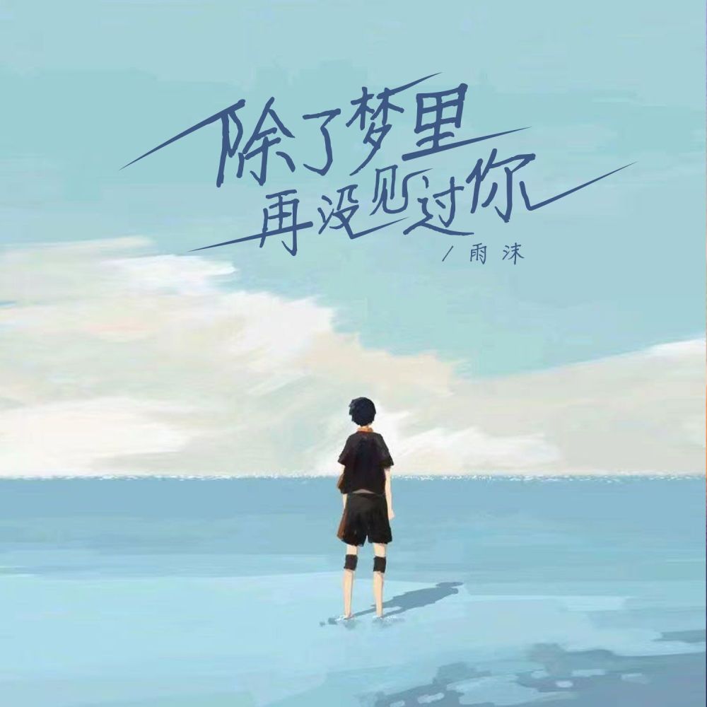 除了梦里再没见过你 (伤感男声版伴奏)