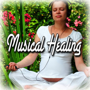 ดาวน์โหลดและฟังเพลง Transition to Health พร้อมเนื้อเพลงจาก Meditation Zen Masters