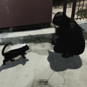 ดาวน์โหลดและฟังเพลง way too lost (Explicit) พร้อมเนื้อเพลงจาก Mazyes