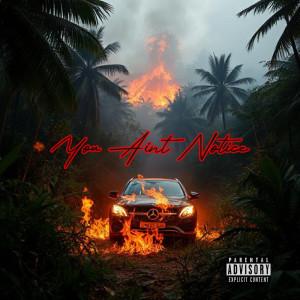 收听Ayent的You Aint Notice (Explicit)歌词歌曲