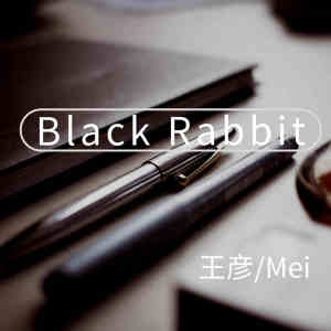 王彦的专辑Black Rabbit