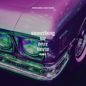 Album Something We Once Knew (Remix ) from PatrickReza