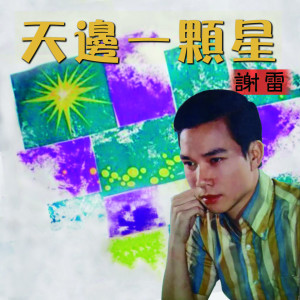 Dengarkan lagu 你願意不願意 nyanyian 谢雷 dengan lirik