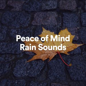 Album Peace of Mind Rain Sounds from Rain for Deep Sleep