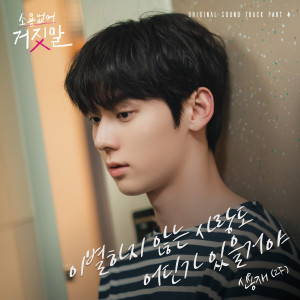 My Lovely Liar, Pt. 4 (Original Television Soundtrack) dari 申勇在