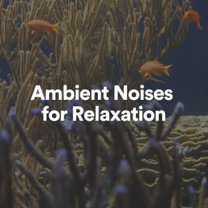 Album Ambient Noises for Relaxation from Musica Para Estudiar Academy