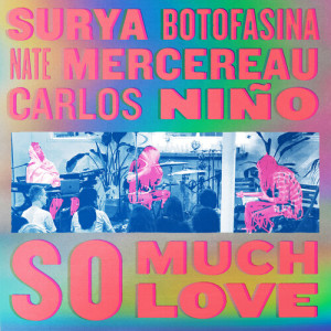 Album So Much Love (Full) from Surya Botofasina