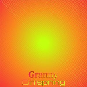 Various Artists的專輯Granny Offspring