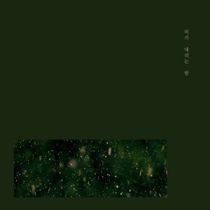 Album 이별하니 사랑이래 from 비가 내리는 밤