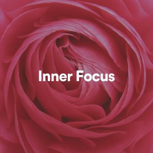 Album Inner Focus oleh Studying Music
