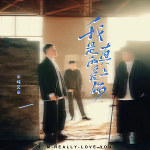Listen to 我是真的爱上你 song with lyrics from 半吨兄弟