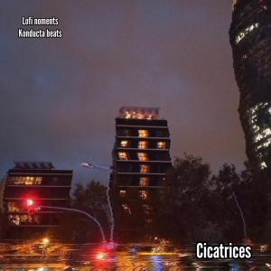 LoFi Moments的专辑Cicatrices
