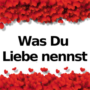 收聽Was du Liebe nennst的Was du Liebe nennst (E-Piano Version)歌詞歌曲