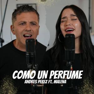收聽Andres Perez的Como un Perfume歌詞歌曲