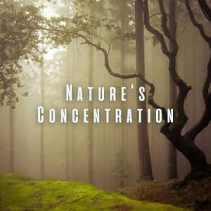 Nature's Concentration: Binaural Sounds for Mental Sharpness