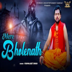 Album Mere Bholenath from Vishwajeet Singh