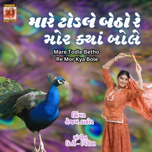 Listen to Mare Todle Betho Re Mor Kya Bole song with lyrics from Tejal Thakor