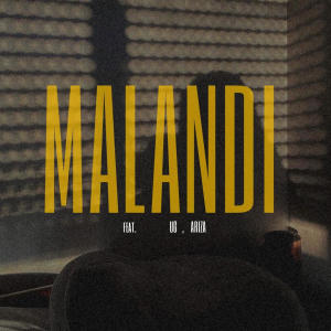 Malandi (feat. UG & ARIZA) [Explicit]