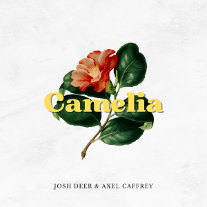 ดาวน์โหลดและฟังเพลง Camelia พร้อมเนื้อเพลงจาก Josh Deer