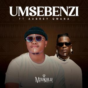 Album Umsebenzi (feat. Aubrey Qwana) oleh Aubrey Qwana