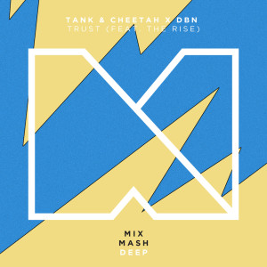 ดาวน์โหลดและฟังเพลง Trust (Plastik Funk Remix) พร้อมเนื้อเพลงจาก DBN
