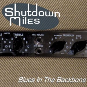 收聽Shutdown Miles的Vitamin C (其他)歌詞歌曲