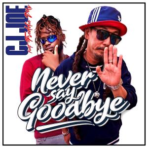 ดาวน์โหลดและฟังเพลง Never Say Goodbye (feat. Freddie Mo) พร้อมเนื้อเพลงจาก CJ Joe
