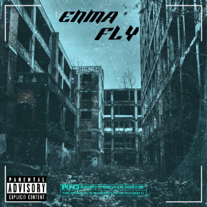 Album FLY (Explicit) from 