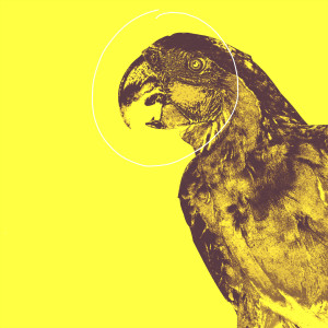 Listen to Parrot (Explicit) song with lyrics from elsemore