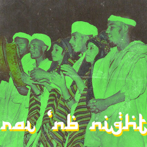 Album Raï 'NB Nights Dj malik from Various artists