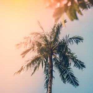 收听Bobbylene的Maybe It's Time歌词歌曲