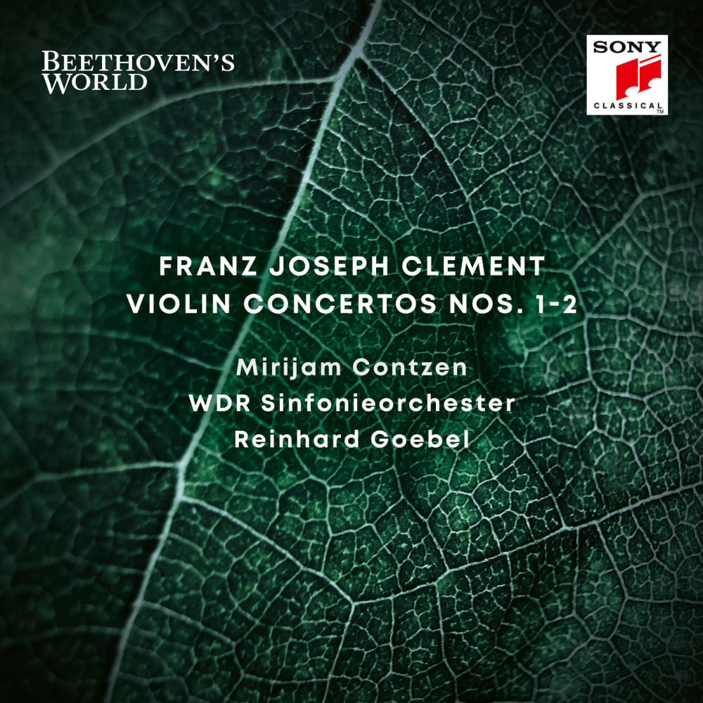 Violin Concerto No. 2 in D Minor: II. Adagio