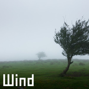 Album Wind oleh GonnaB