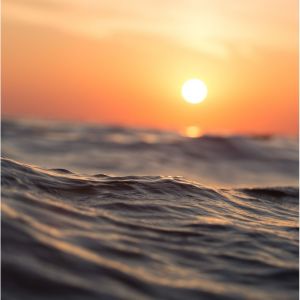 收聽Relaxing Spa Music的Petals on the Water歌詞歌曲