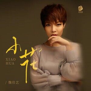 Album 小花 from 魏佳艺