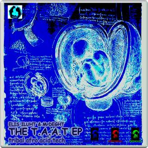 Album The T.A.A.T (Tribal Afro Acid Tech) Extended Play from Elis Iluht