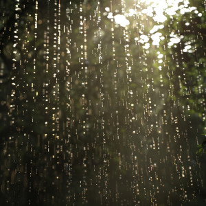 อัลบัม Serene Night: Binaural Rain Sounds for Sleep ศิลปิน Binaural Statement
