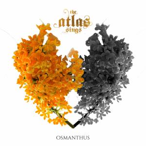 OSMANTHUS (feat. KNVWN) dari Knvwn