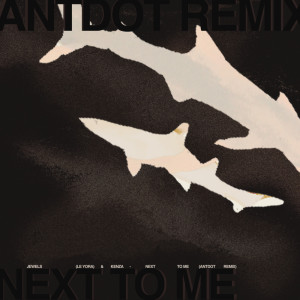 อัลบัม Next To Me (Antdot Remix) ศิลปิน Jewels