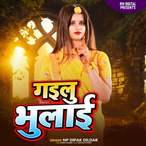 Album Gailu Bhulai from Np Deepak Dildar